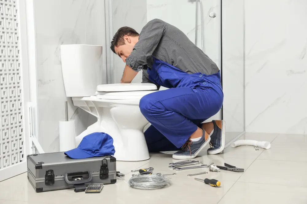 Toilet Installation in Westwego